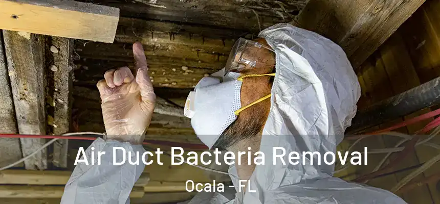  Air Duct Bacteria Removal Ocala - FL