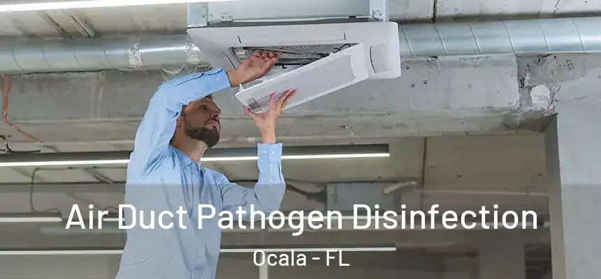 Air Duct Pathogen Disinfection Ocala - FL