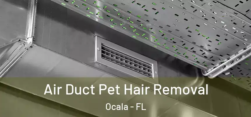 Air Duct Pet Hair Removal Ocala - FL