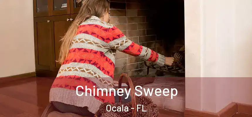 Chimney Sweep Ocala - FL
