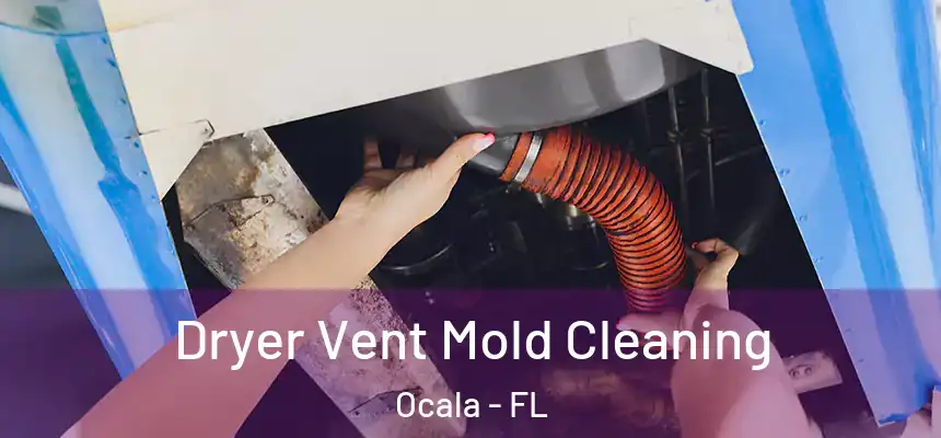 Dryer Vent Mold Cleaning Ocala - FL