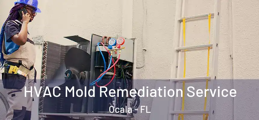 HVAC Mold Remediation Service Ocala - FL