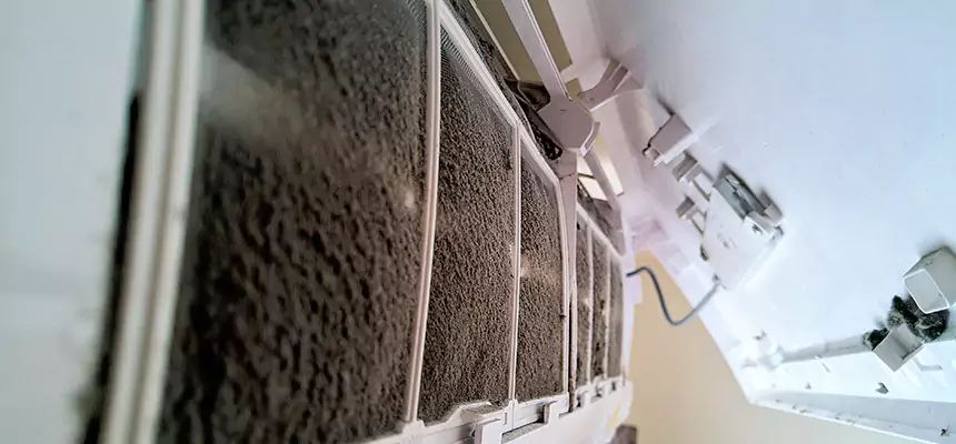 Preventive Air Duct Bacteria Removal in Ocala