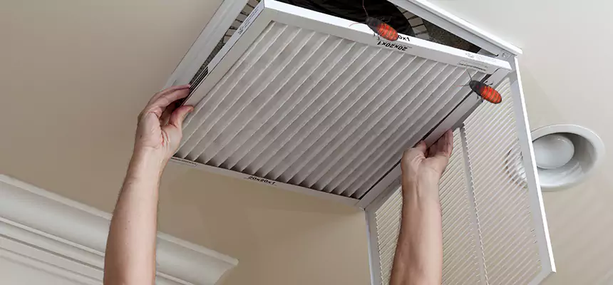 Preventive Cockroach-Proofing for Ducts in Ocala
