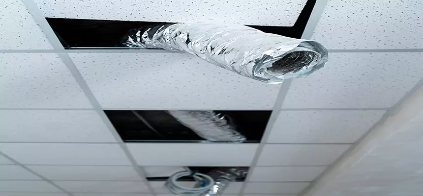 Affordable HVAC Sanitizing After Pest Removal in Ocala