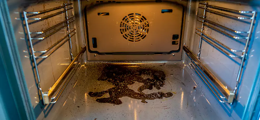 Our Dryer Vent Mold Cleaning Services in Ocala, FL