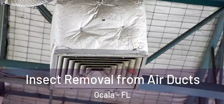 Insect Removal from Air Ducts Ocala - FL
