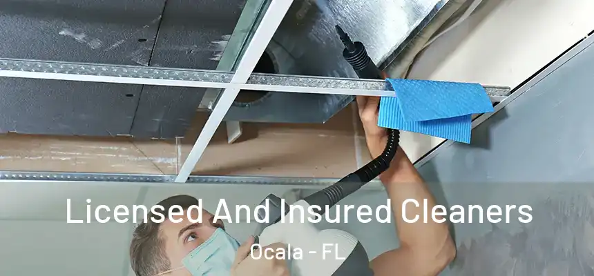 Licensed And Insured Cleaners Ocala - FL