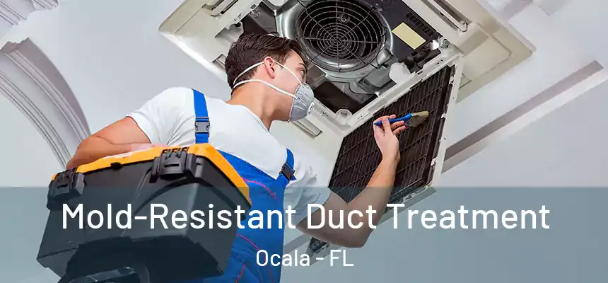 Mold-Resistant Duct Treatment Ocala - FL