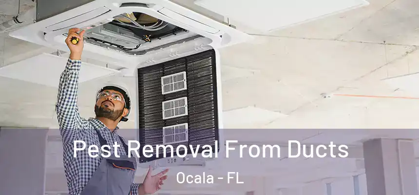 Pest Removal From Ducts Ocala - FL