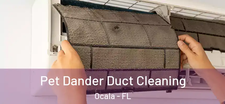 Pet Dander Duct Cleaning Ocala - FL