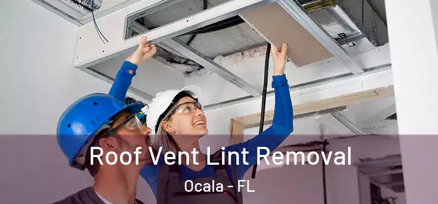 Roof Vent Lint Removal Ocala - FL