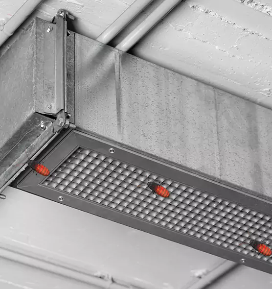 About Air Duct Cockroach Removal in Ocala, FL