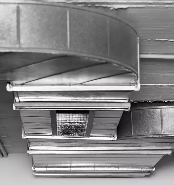 Professional Air Duct Pet Hair Removal in Ocala, FL