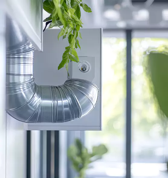 Professional Eco-Safe Dryer Vent Cleaning in Ocala, FL