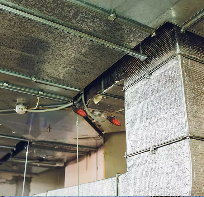 Why Homeowners & Businesses Trust Us in Ocala, FL?