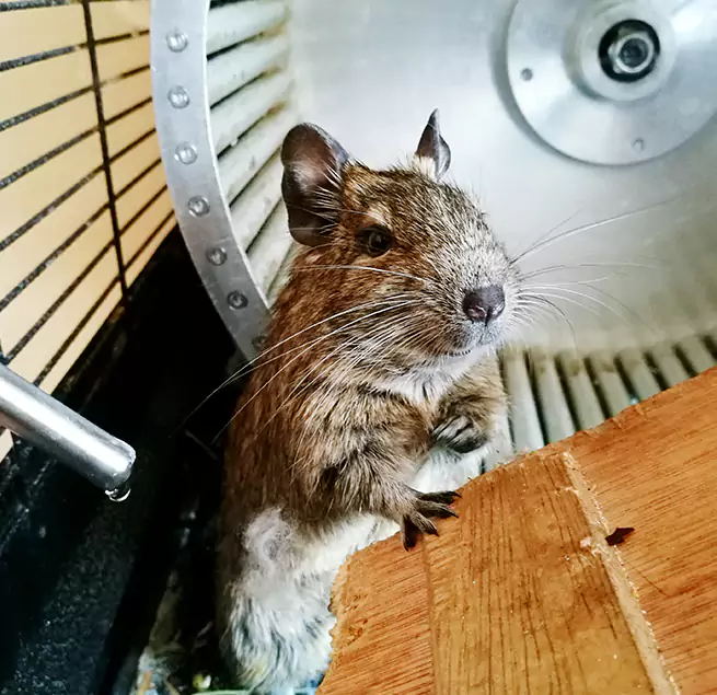 Why Homeowners & Businesses Trust Us Ocala, FL