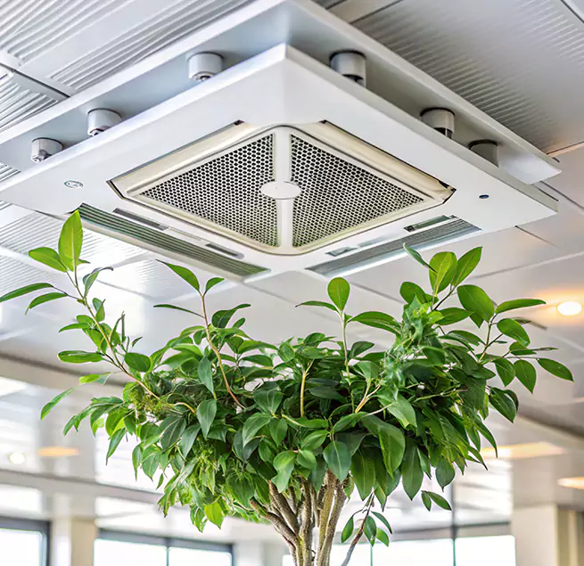 Why Homeowners & Businesses Trust Us in Ocala, FL?