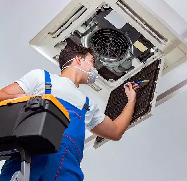 Why Homeowners & Businesses Trust Us in Ocala, FL?