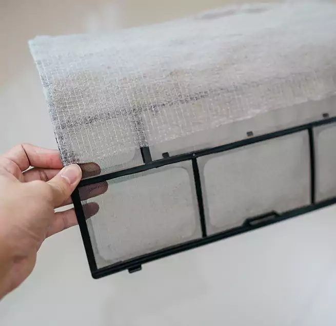 Why Homeowners & Businesses Trust Us in Ocala, FL?