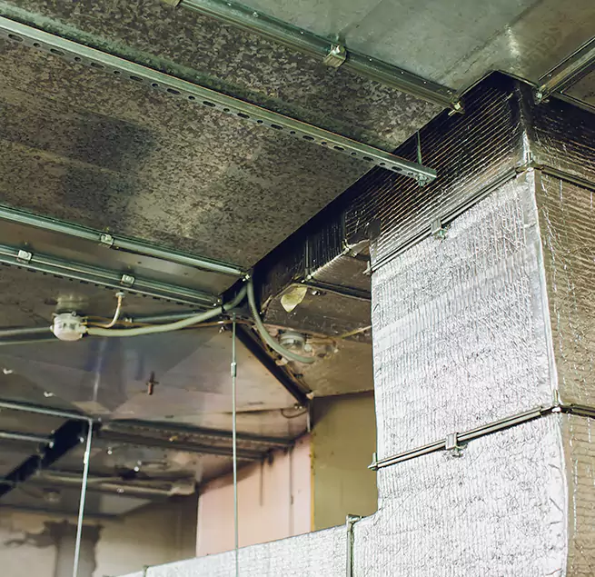 Why Homeowners & Businesses Trust Us in Ocala, FL?