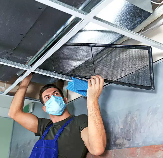 Why Homeowners Businesses Trust Us in Ocala, FL